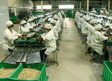 factory image